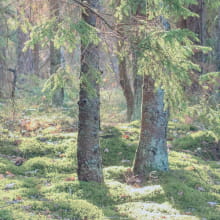 sustainabilityイメージ