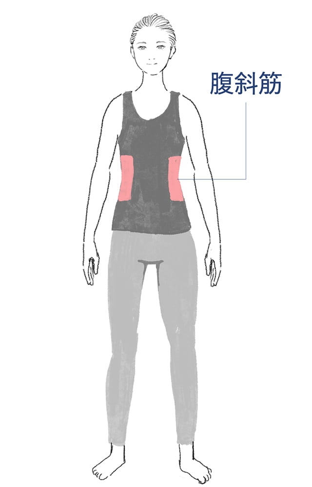 ウエストにくびれをつくる”