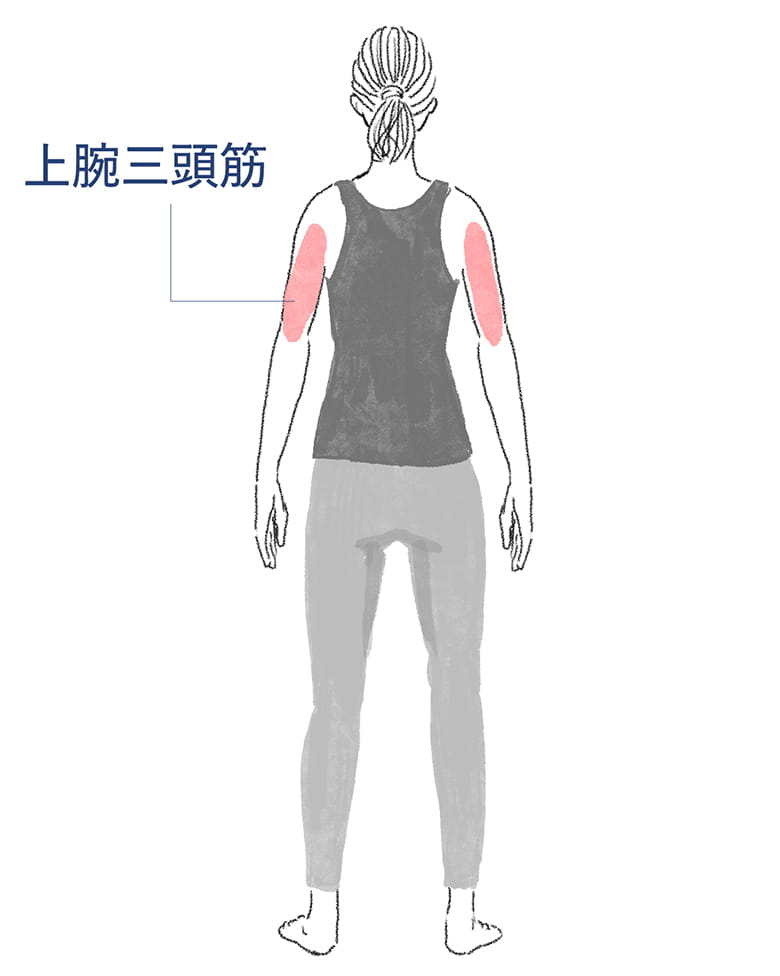 プルプルと揺れる二の腕を絞る”
