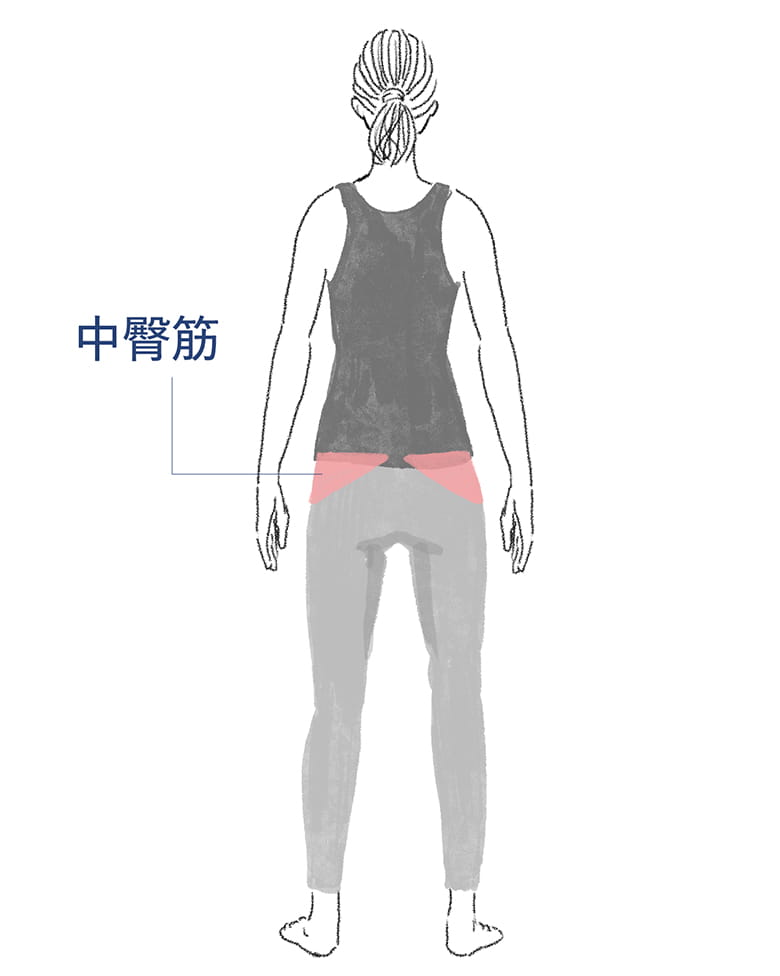 引き締まったお尻を形づくる
