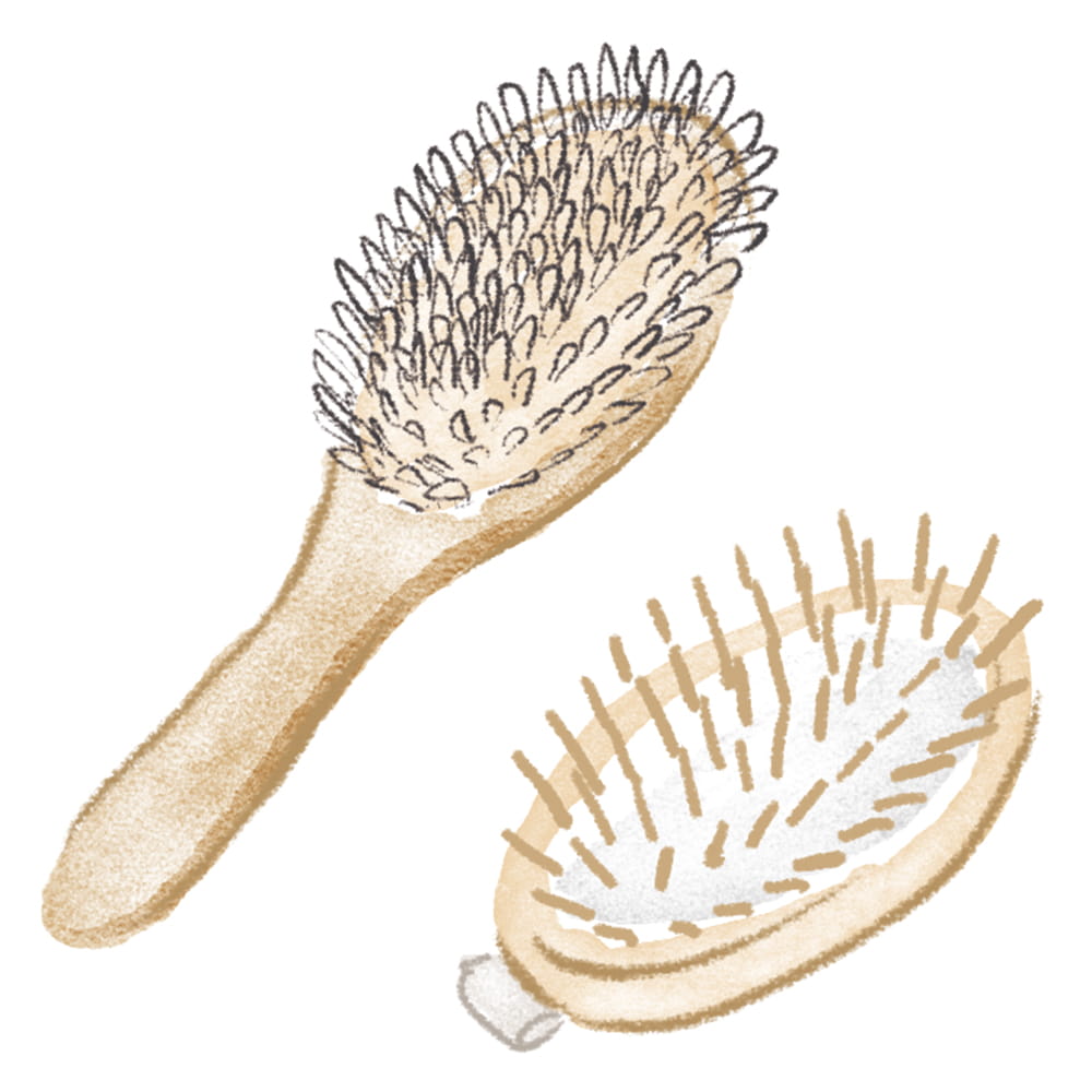 ブラッシングにはクッションブラシがおすすめ