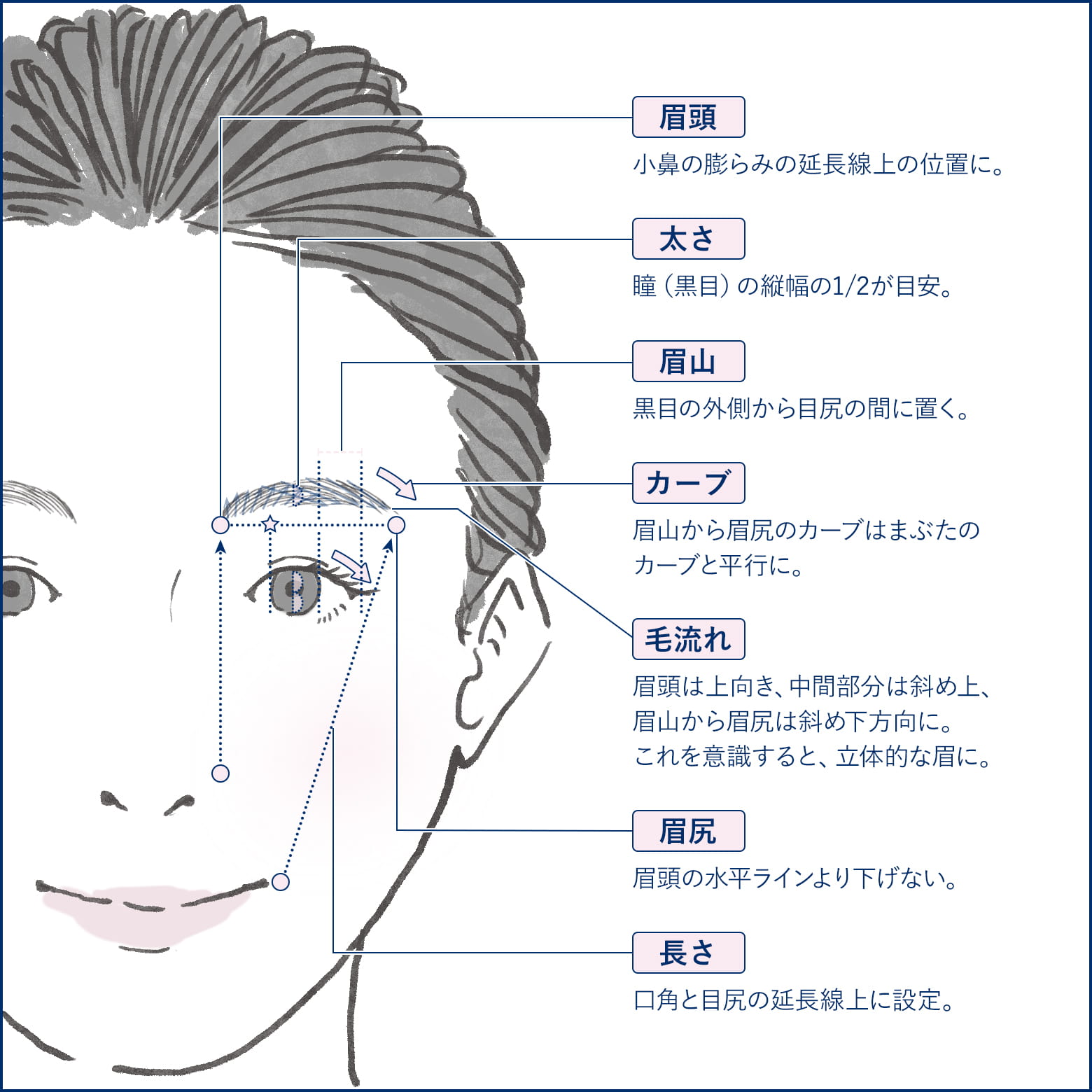 基本の美眉バランスを知る