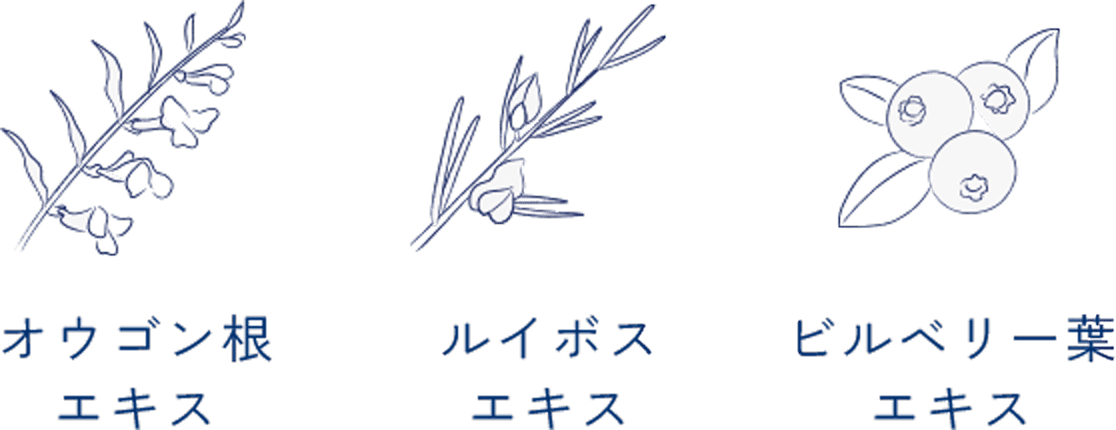 Wヒト型ナノセラミド チャ葉エキス