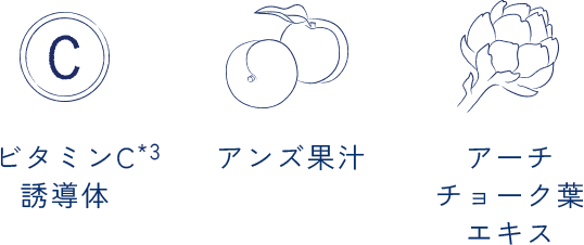 Wヒト型ナノセラミド チャ葉エキス