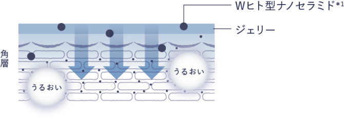 Wヒト型ナノセラミド チャ葉エキス