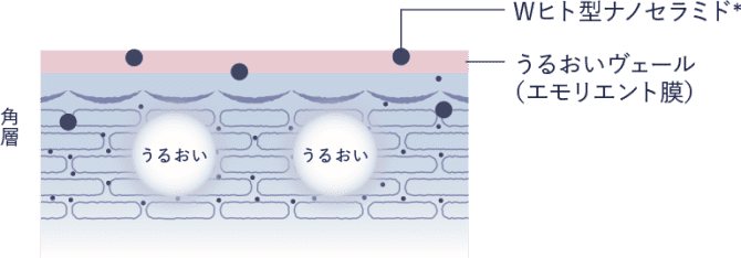 Wヒト型ナノセラミド チャ葉エキス
